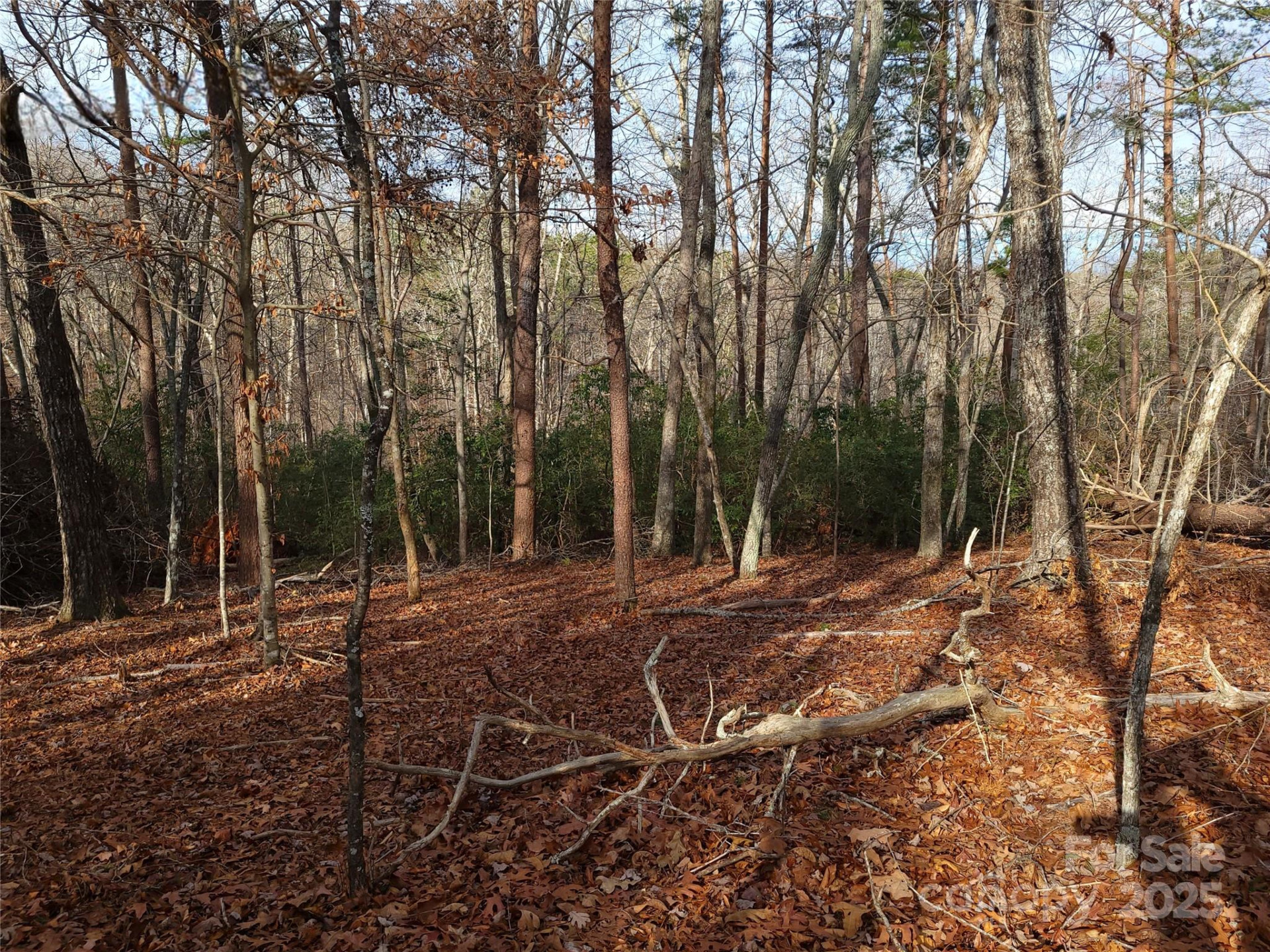 000 Skylark Lane #8 - Photo 4