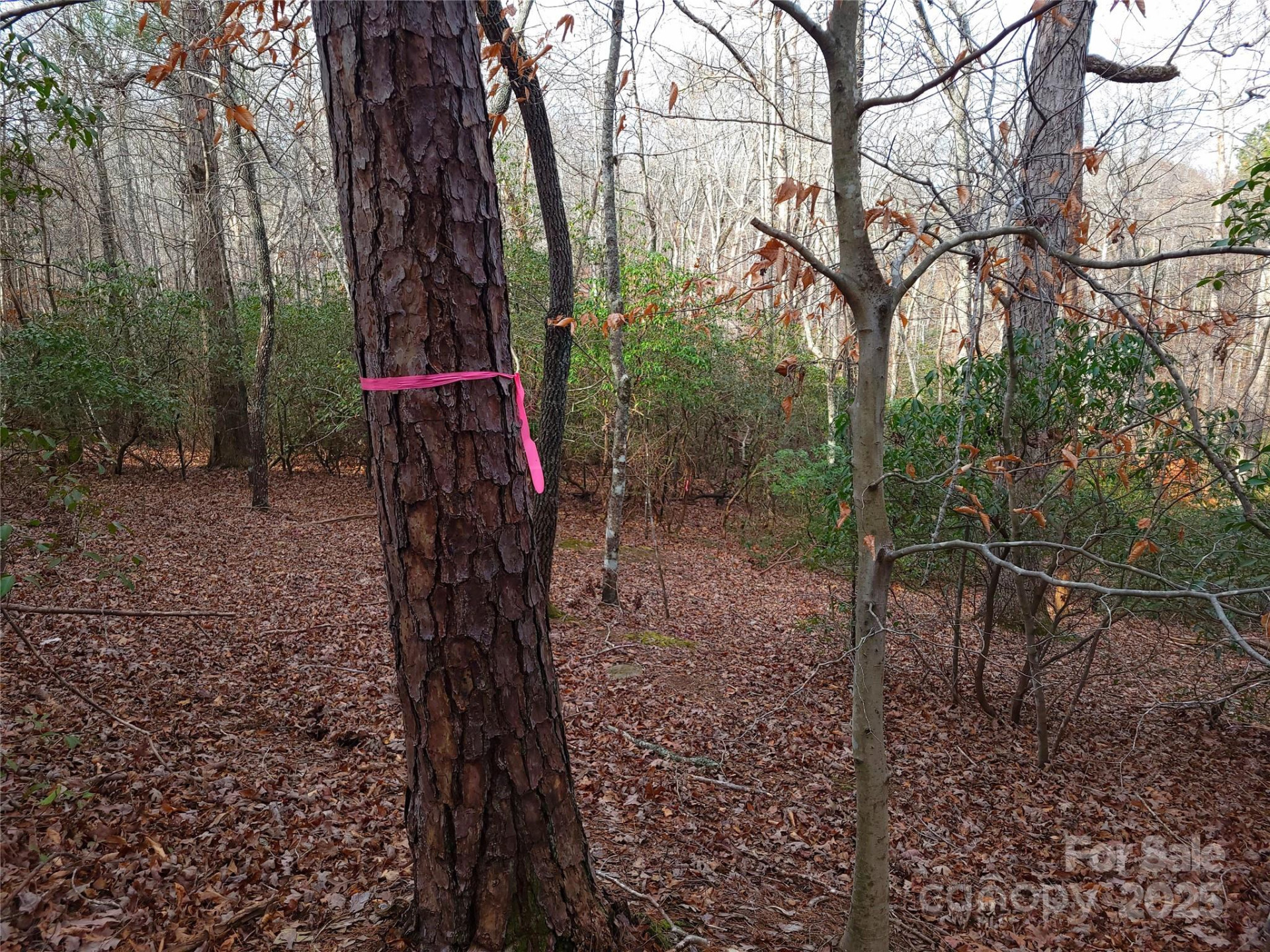 000 Skylark Lane #8 - Photo 5