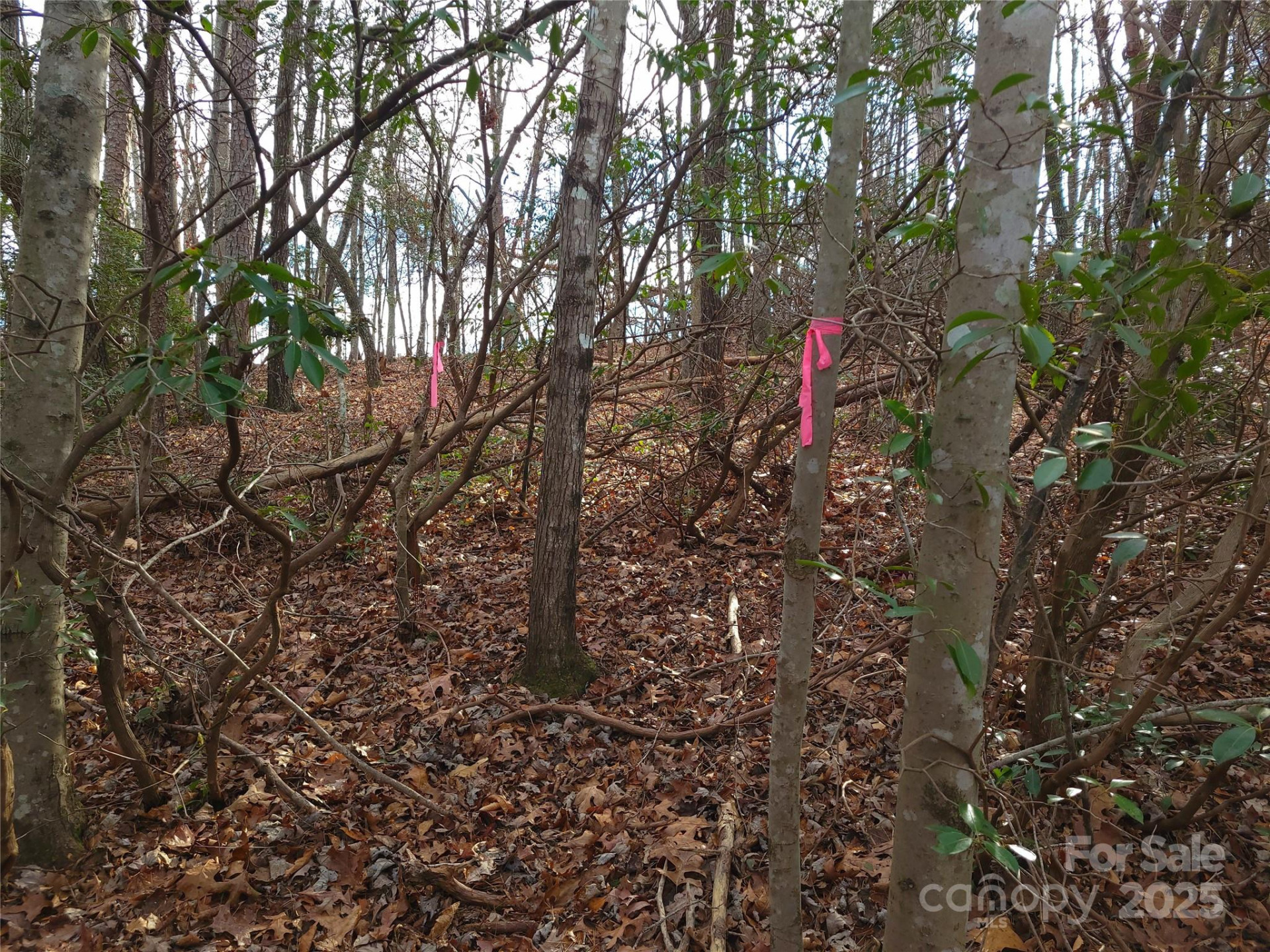 000 Skylark Lane #8 - Photo 6