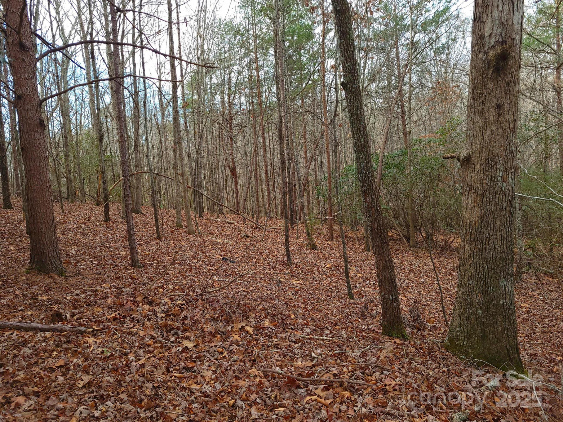 000 Skylark Lane #8 - Photo 7