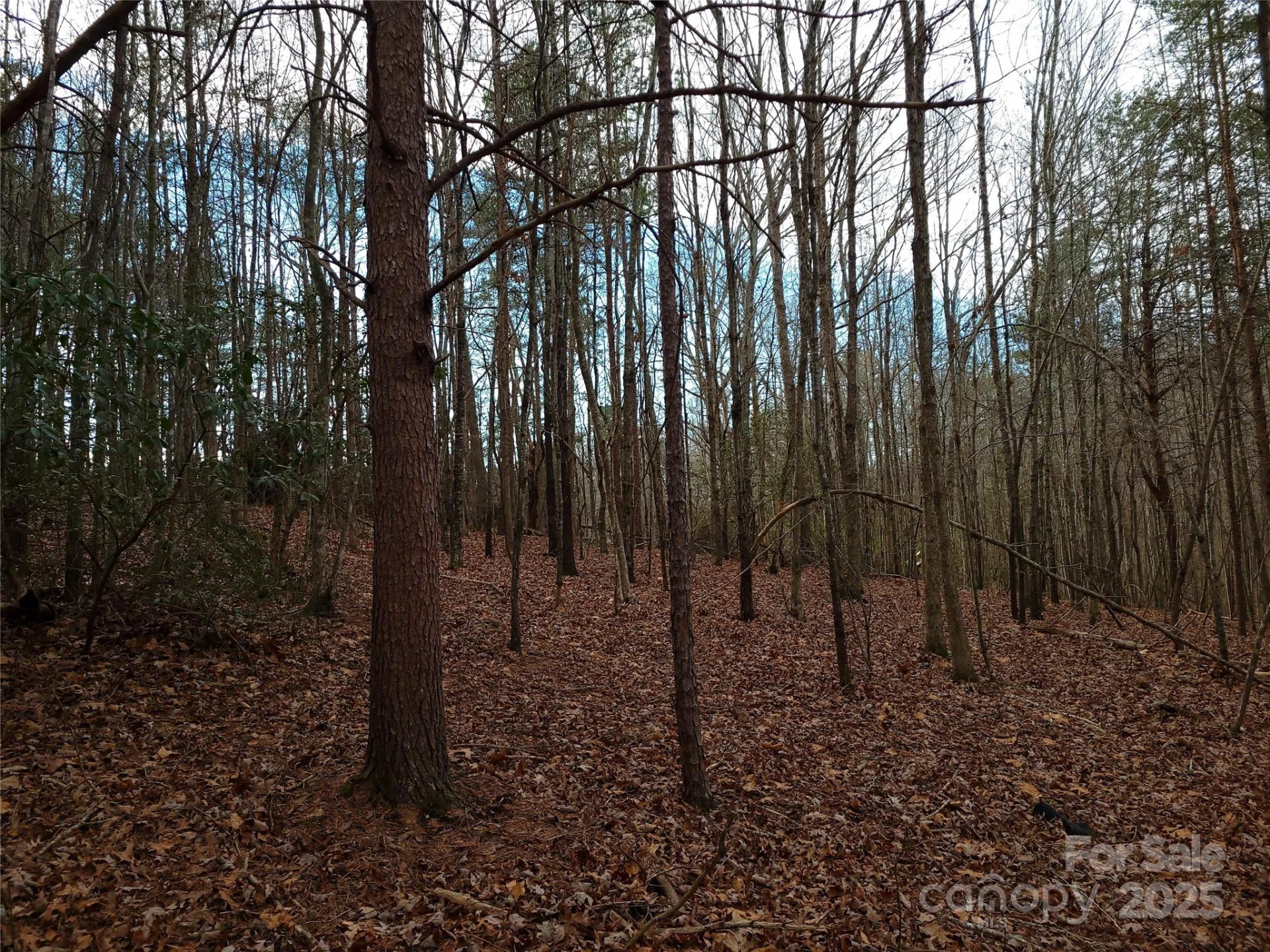 000 Skylark Lane #8 - Photo 8