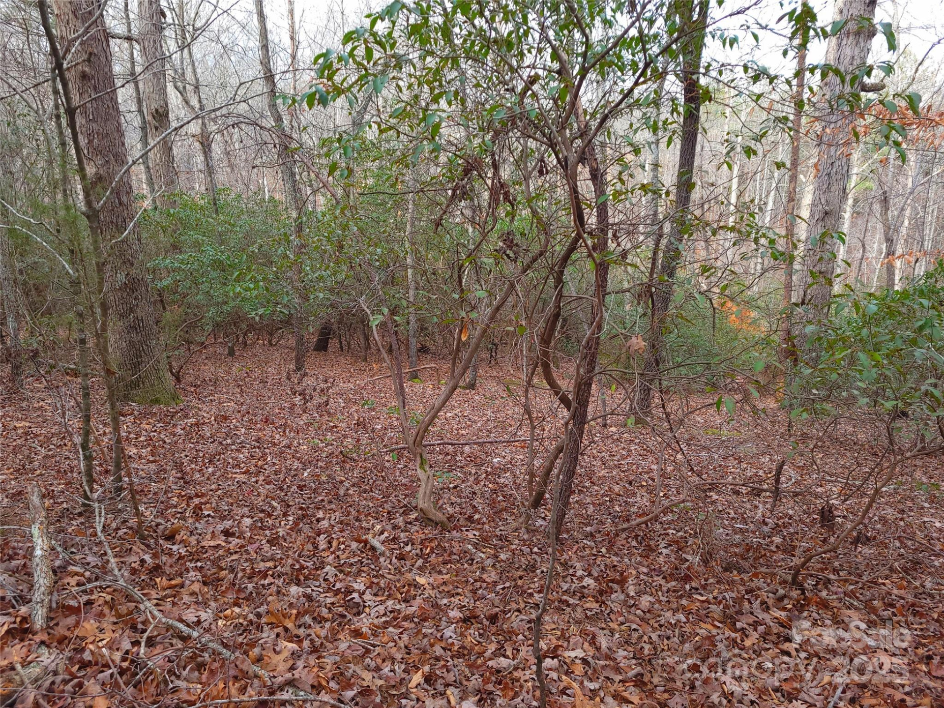 000 Skylark Lane #8 - Photo 9