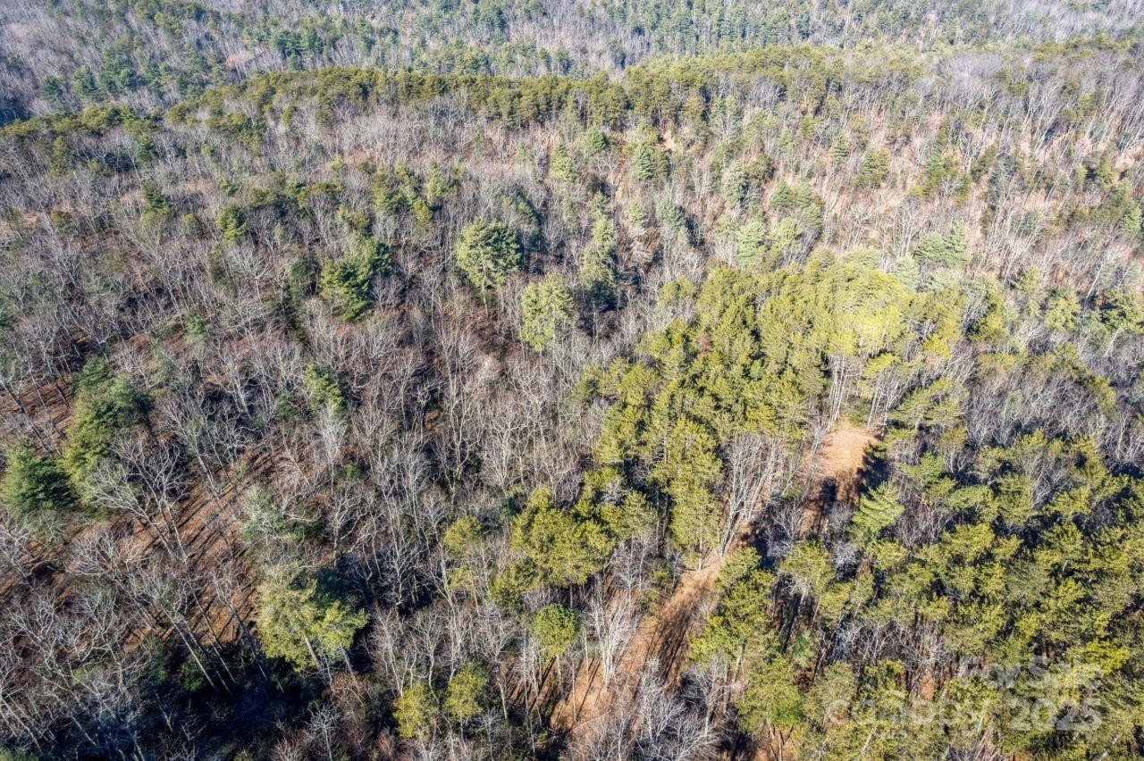 0 SASSAFRAS Lane - Photo 2