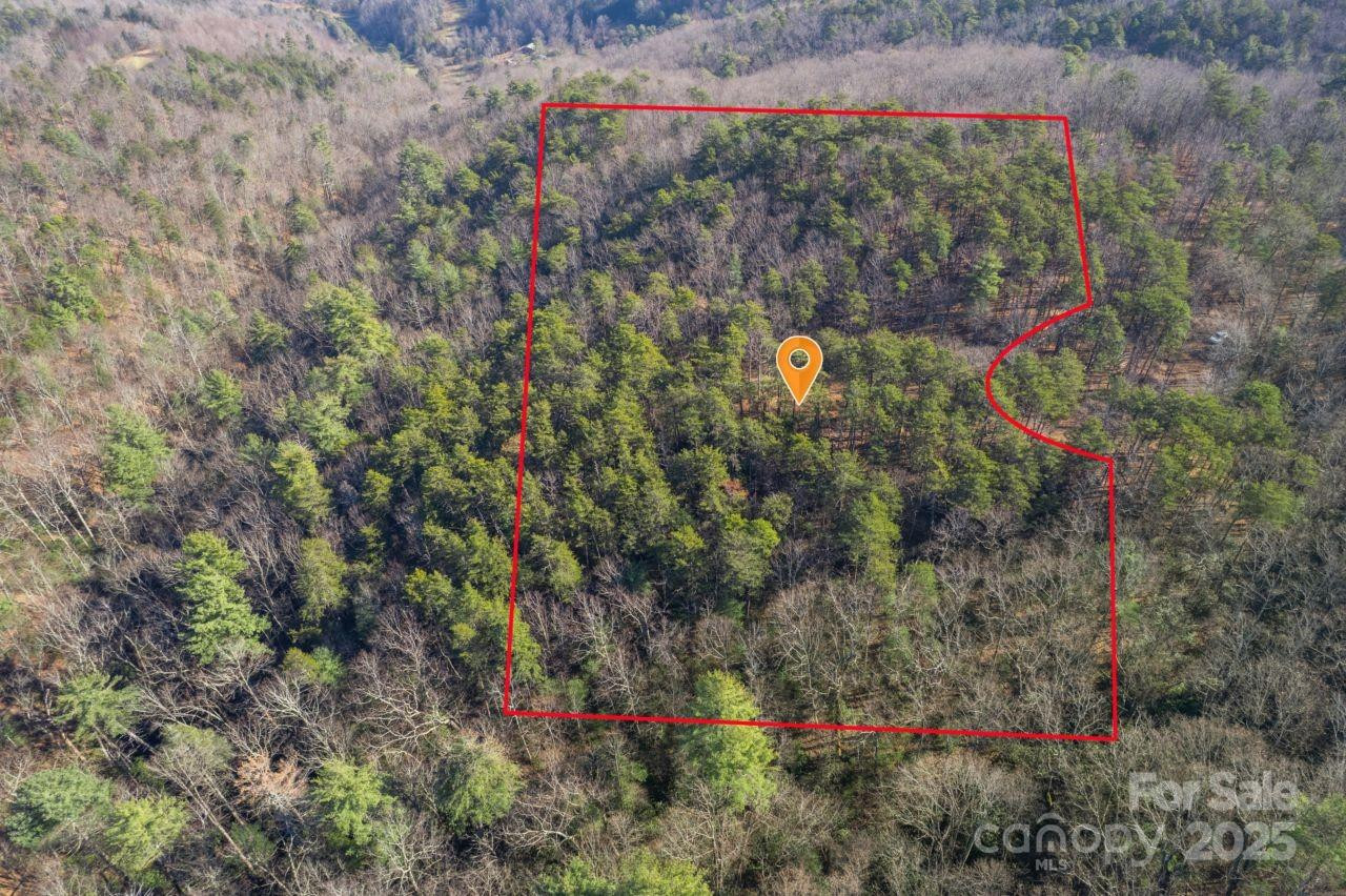 0 SASSAFRAS Lane - Photo 11