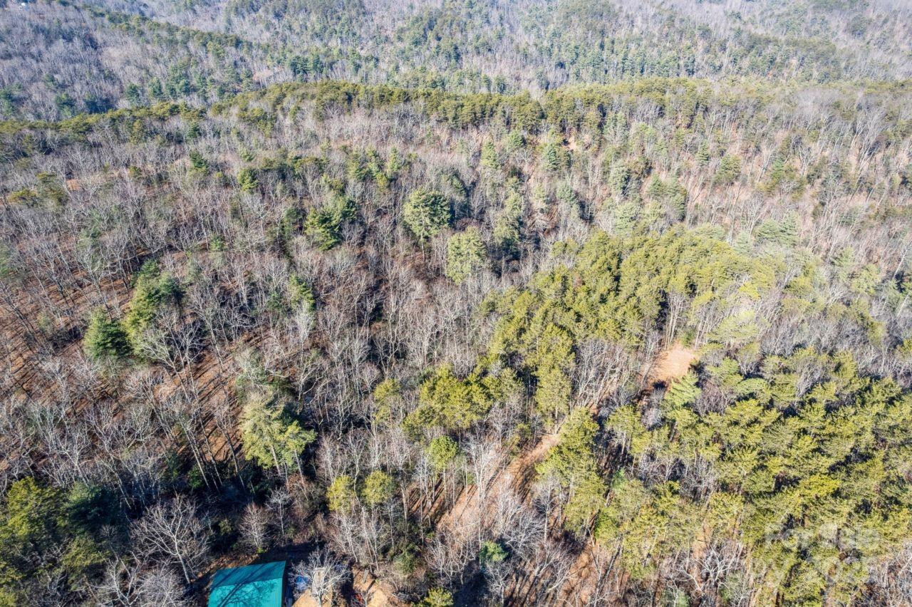 0 SASSAFRAS Lane - Photo 3