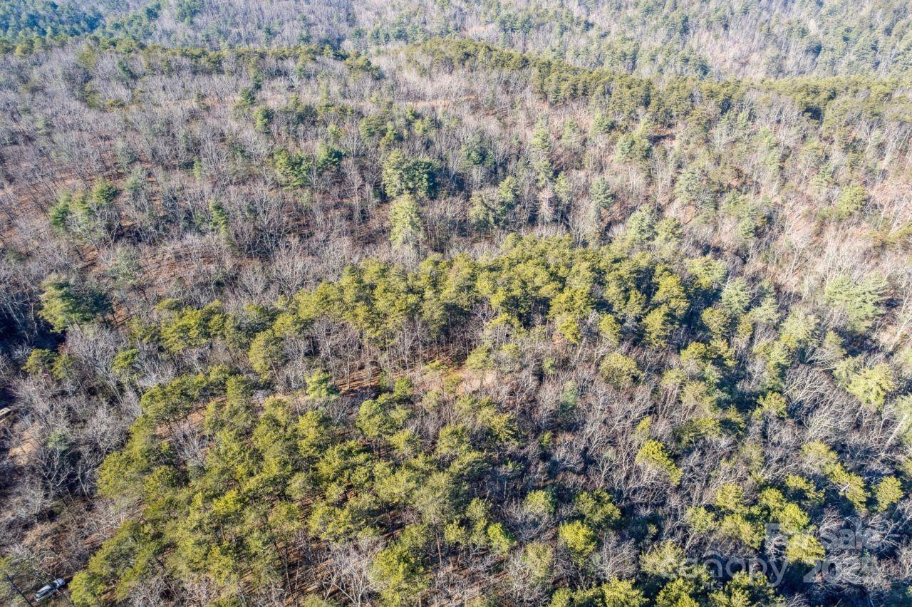 0 SASSAFRAS Lane - Photo 4