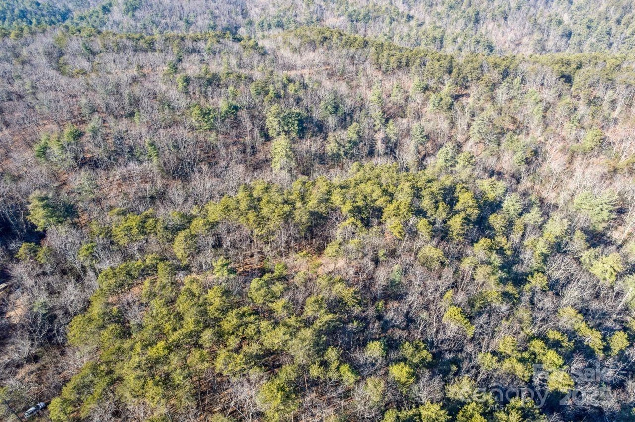 0 SASSAFRAS Lane - Photo 4