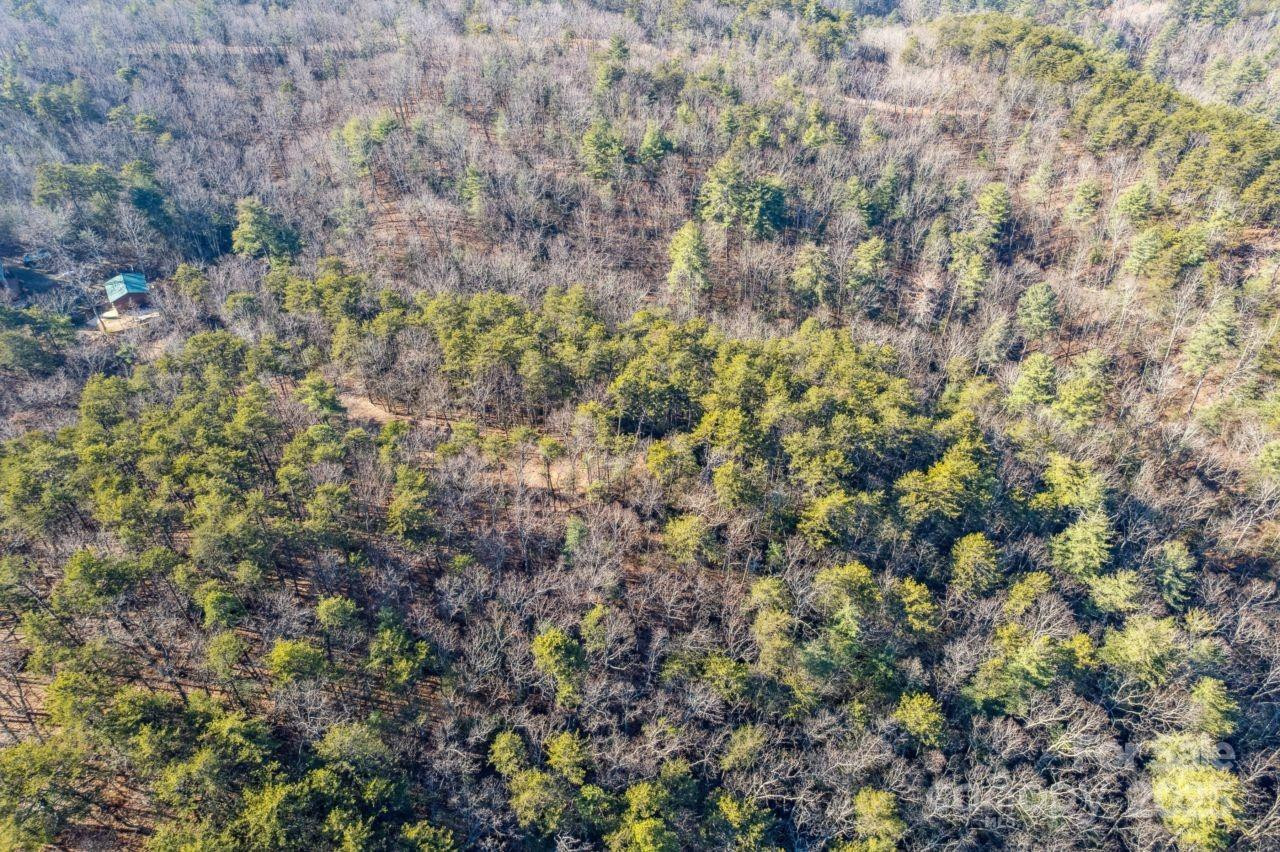 0 SASSAFRAS Lane - Photo 5