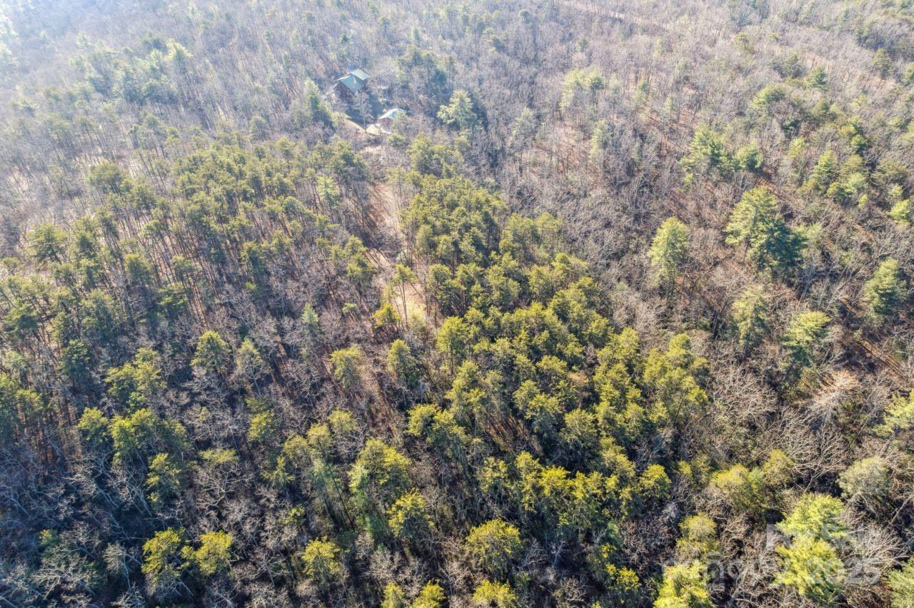 0 SASSAFRAS Lane - Photo 6