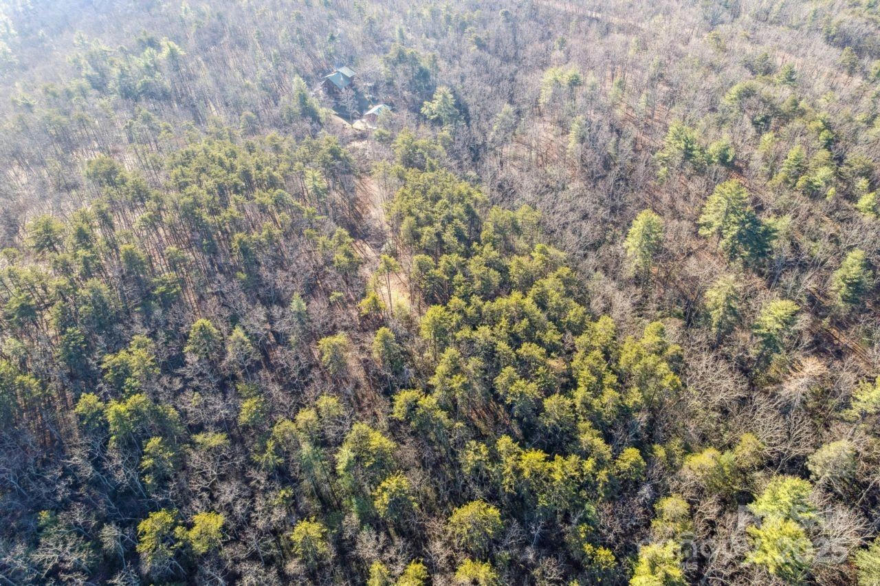 0 SASSAFRAS Lane - Photo 6