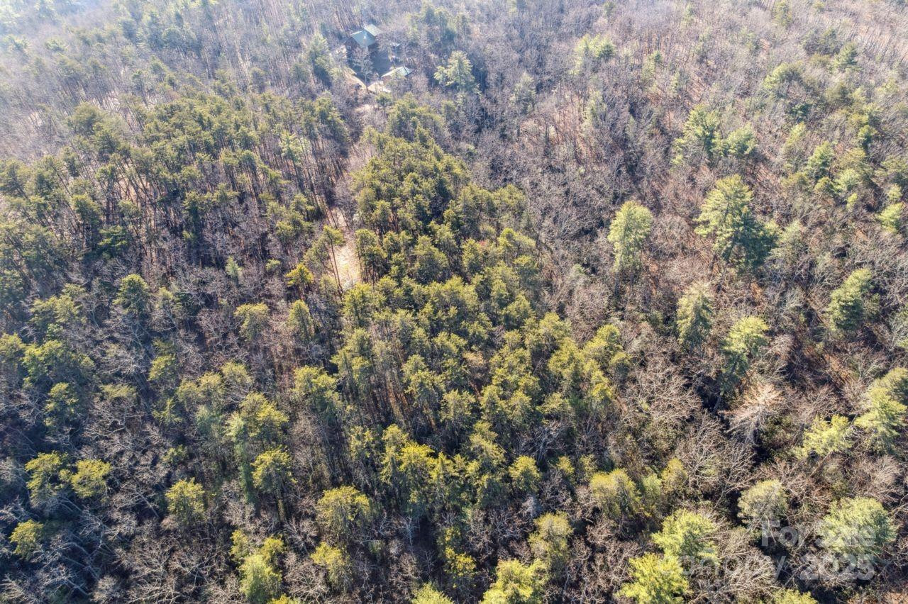 0 SASSAFRAS Lane - Photo 7