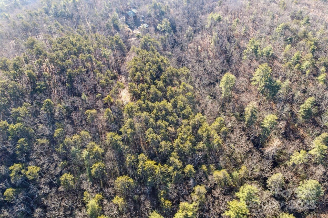 0 SASSAFRAS Lane - Photo 7