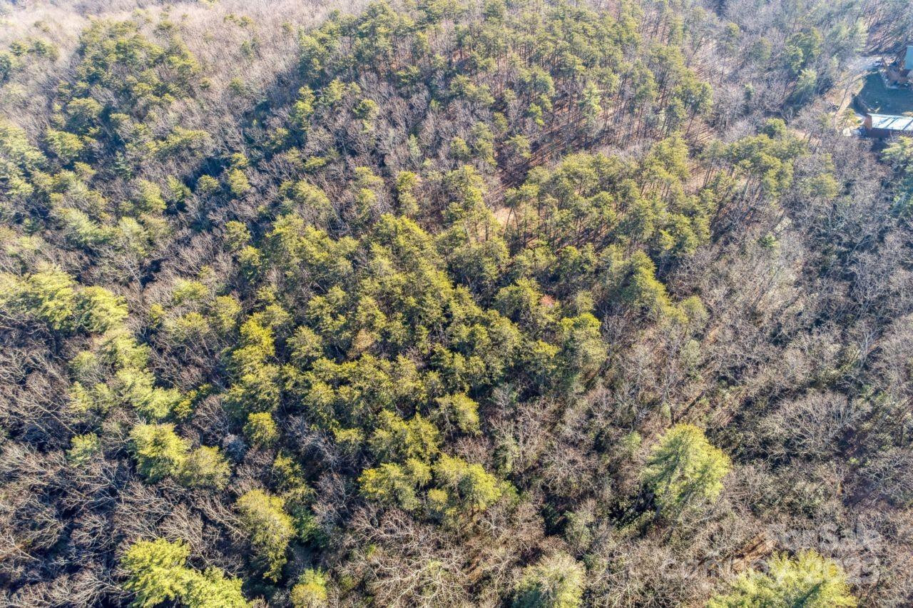 0 SASSAFRAS Lane - Photo 8