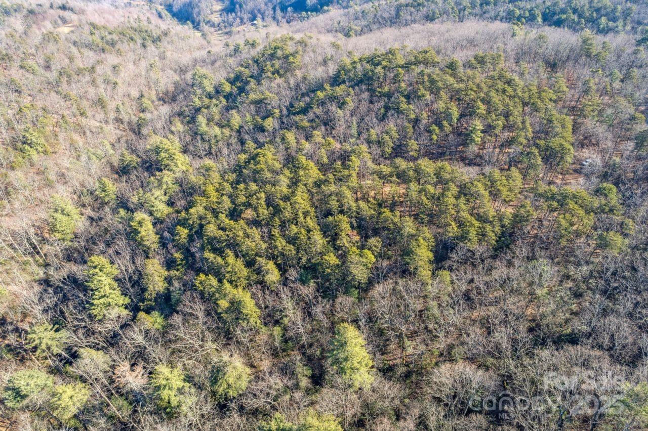 0 SASSAFRAS Lane - Photo 9