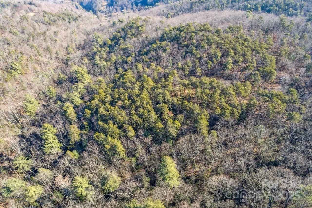 0 SASSAFRAS Lane - Photo 9