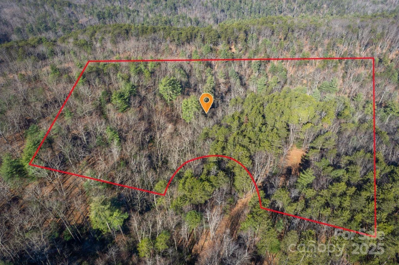 0 SASSAFRAS Lane - Photo 10