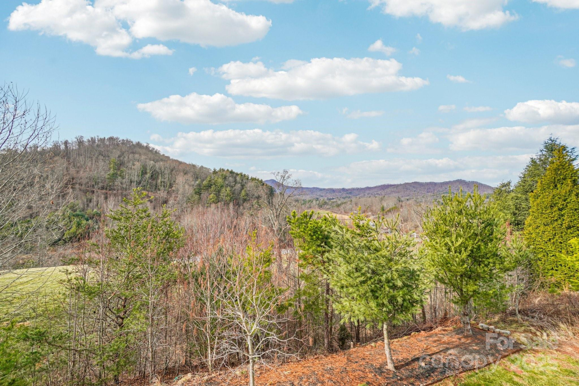 14 Rose Creek Road - Photo 28