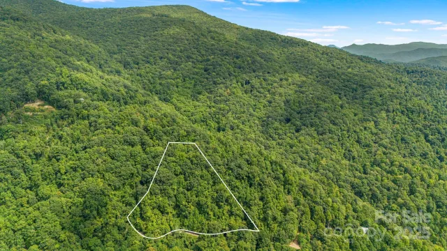 Lot 21 Cat Pen Branch Road, Hot Springs, NC, 28743