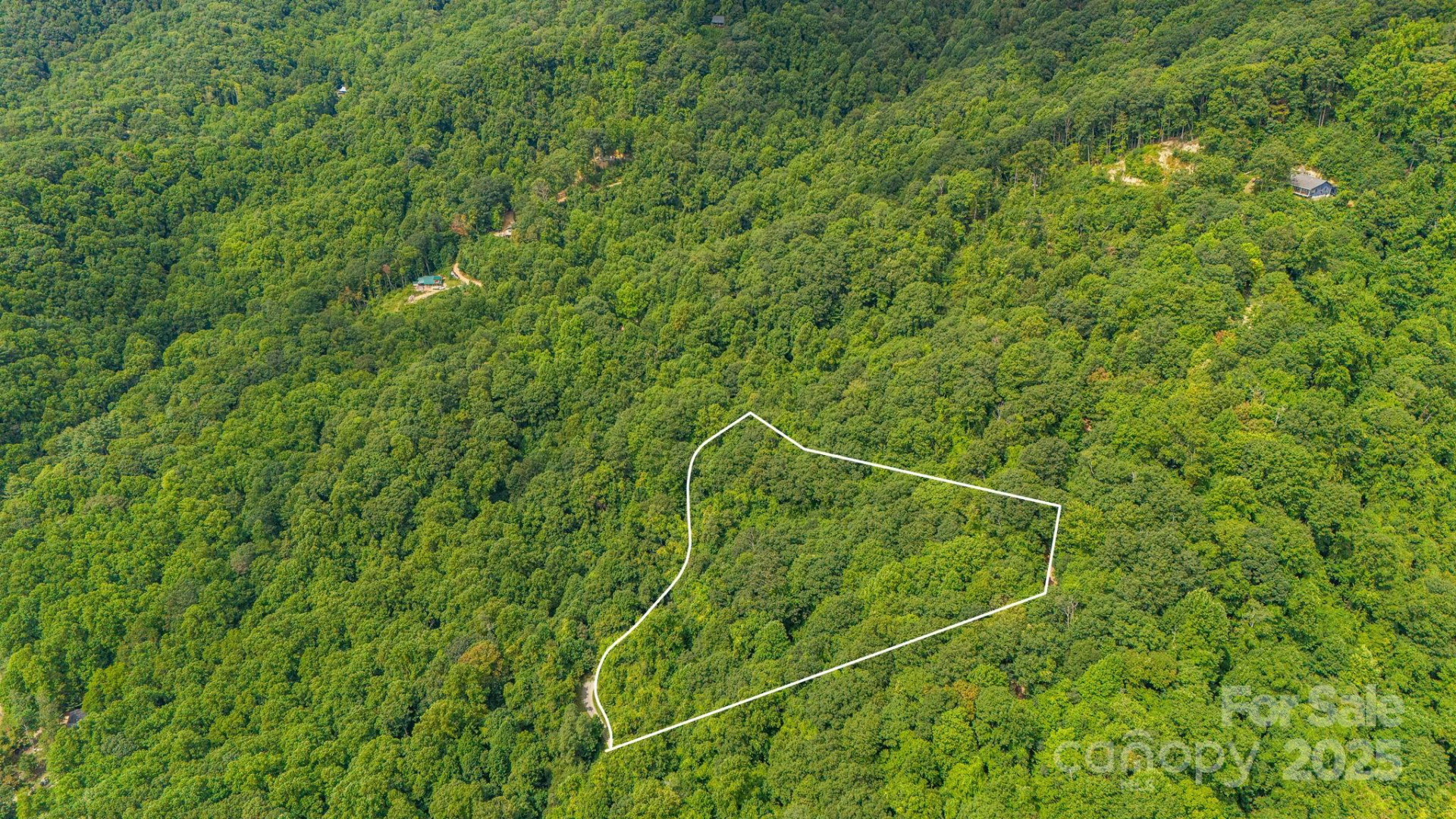 Lot 21 Cat Pen Branch Road - Photo 11