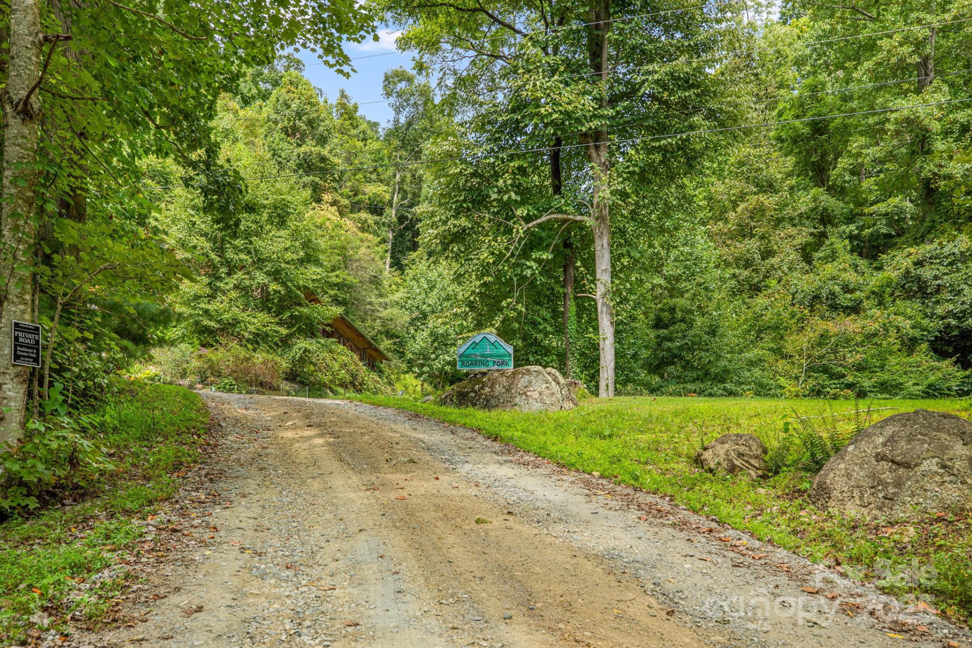 Lot 21 Cat Pen Branch Road - Photo 12