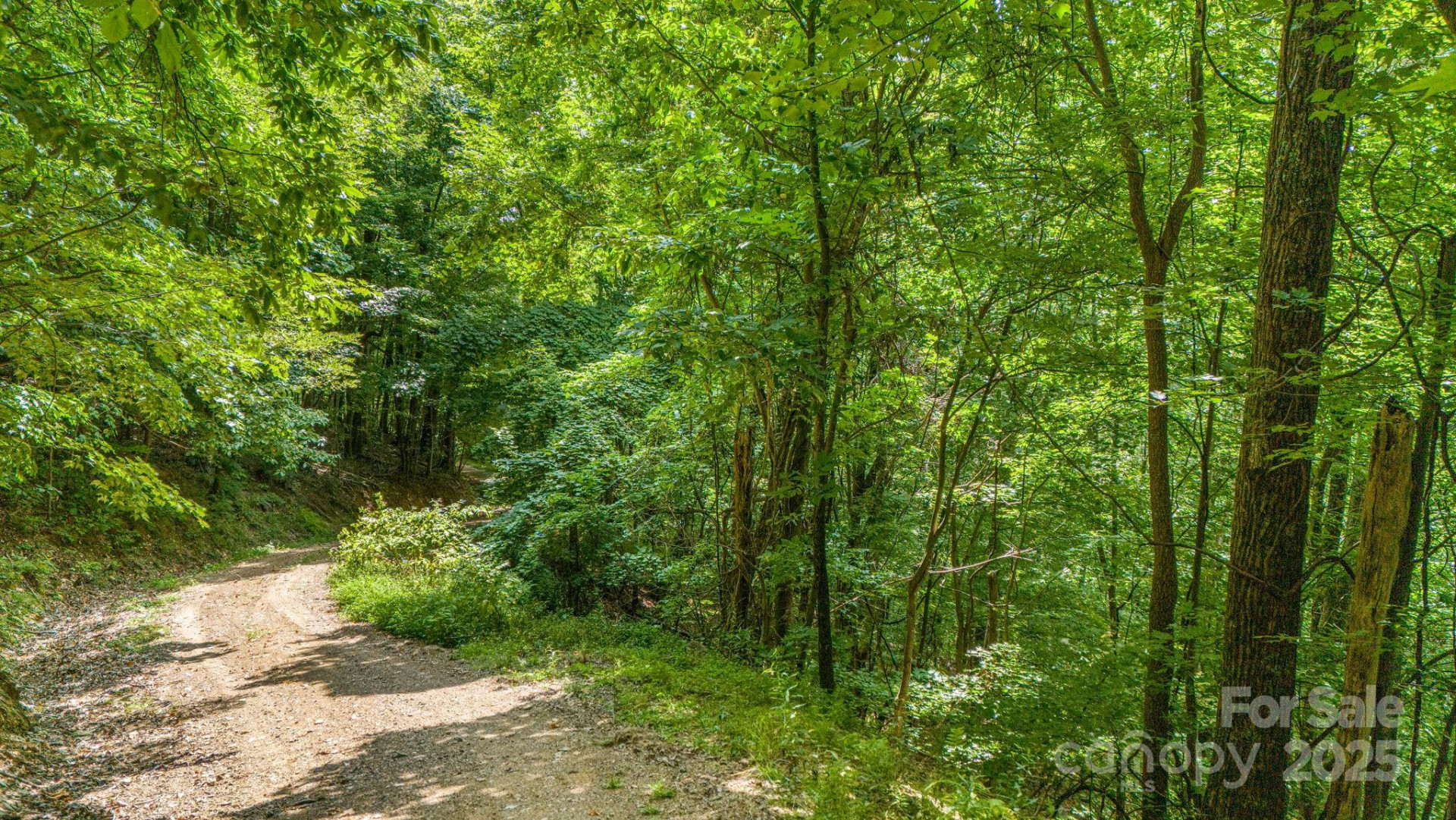 Lot 21 Cat Pen Branch Road - Photo 16