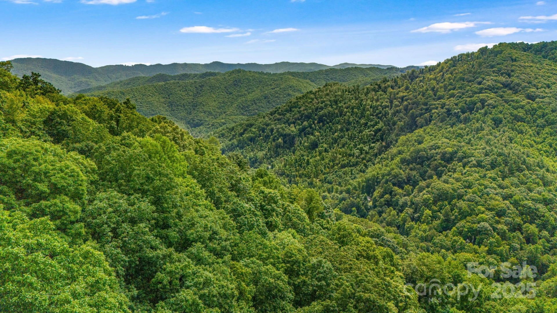 Lot 21 Cat Pen Branch Road - Photo 17