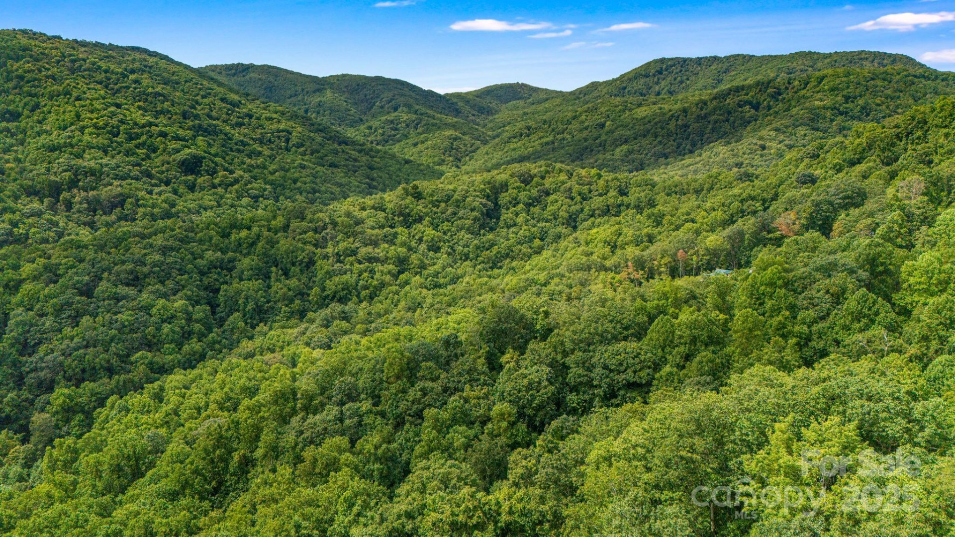 Lot 21 Cat Pen Branch Road - Photo 19