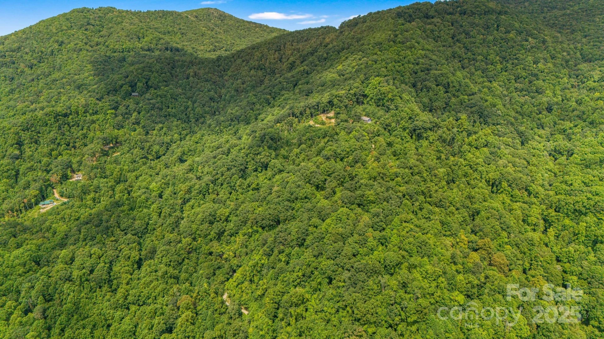 Lot 21 Cat Pen Branch Road - Photo 20
