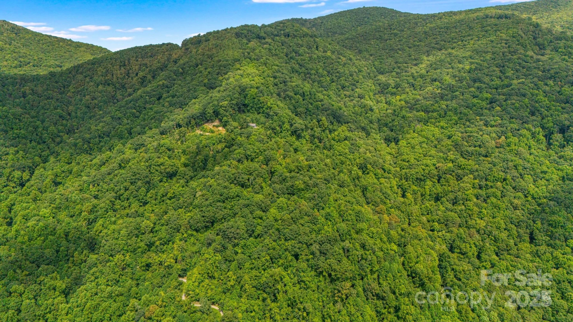 Lot 21 Cat Pen Branch Road - Photo 21