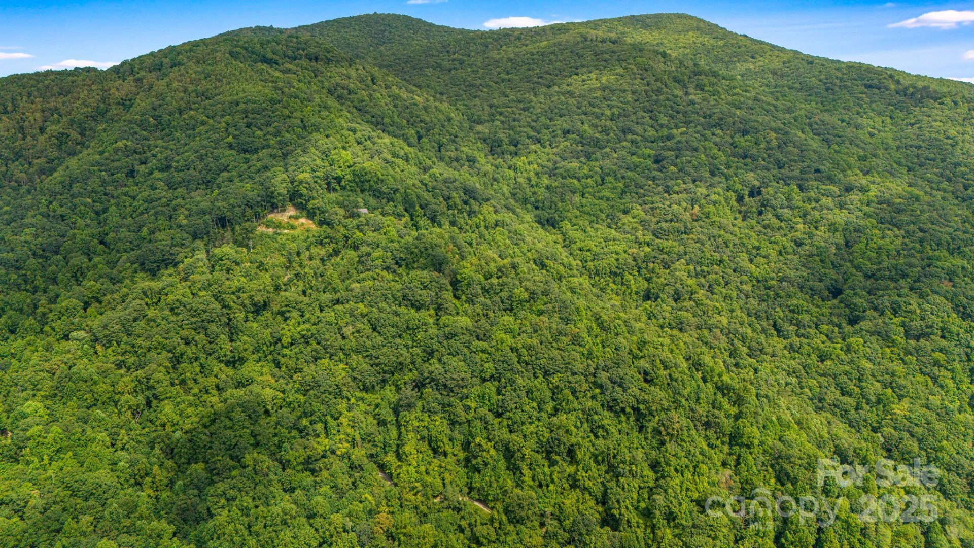 Lot 21 Cat Pen Branch Road - Photo 22