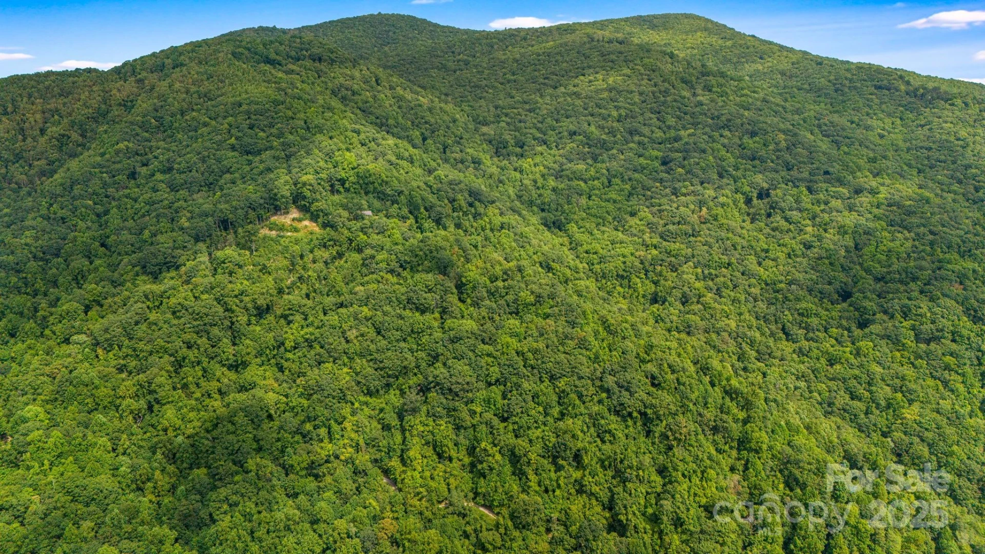 Lot 21 Cat Pen Branch Road - Photo 22