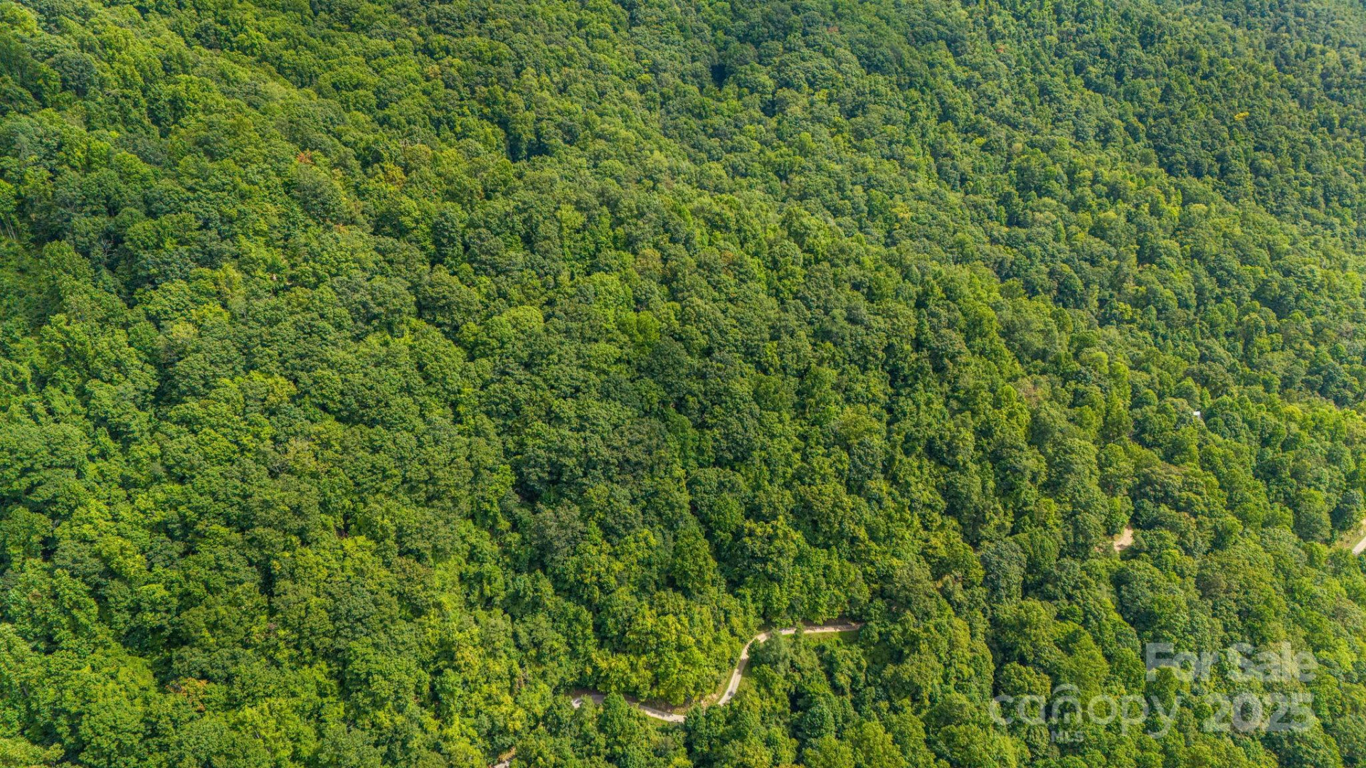 Lot 21 Cat Pen Branch Road - Photo 24