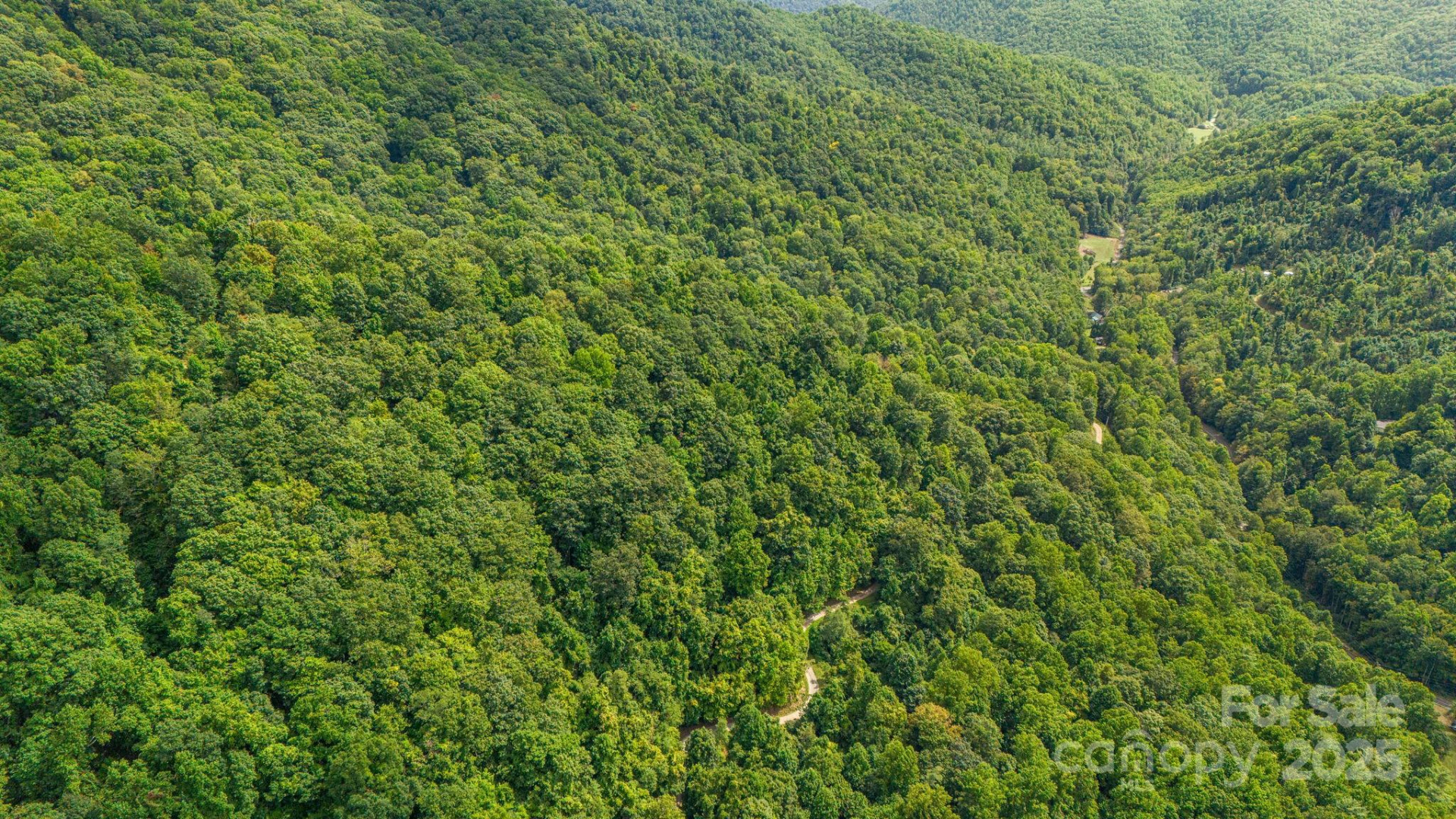 Lot 21 Cat Pen Branch Road - Photo 25