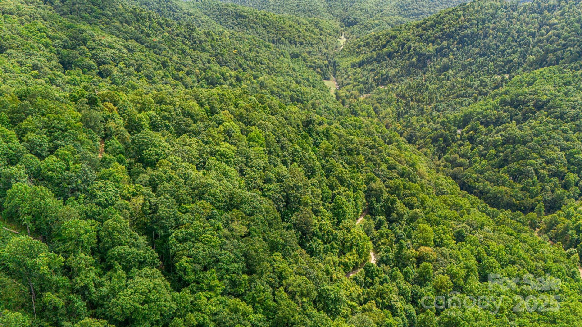 Lot 21 Cat Pen Branch Road - Photo 26