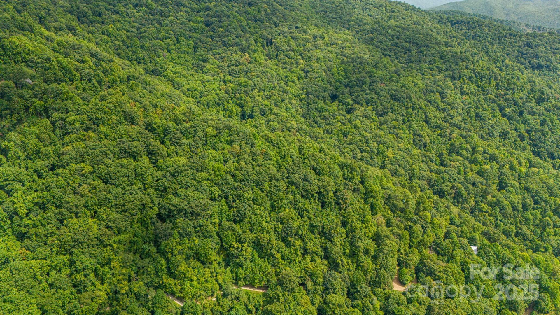 Lot 21 Cat Pen Branch Road - Photo 27