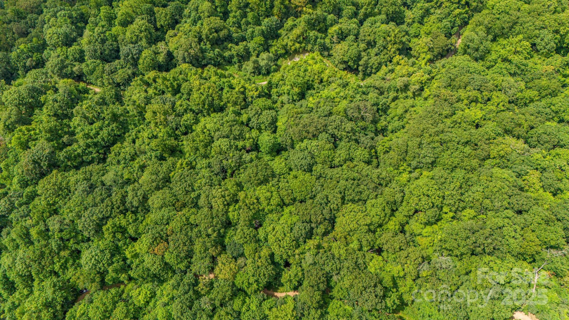 Lot 21 Cat Pen Branch Road - Photo 29