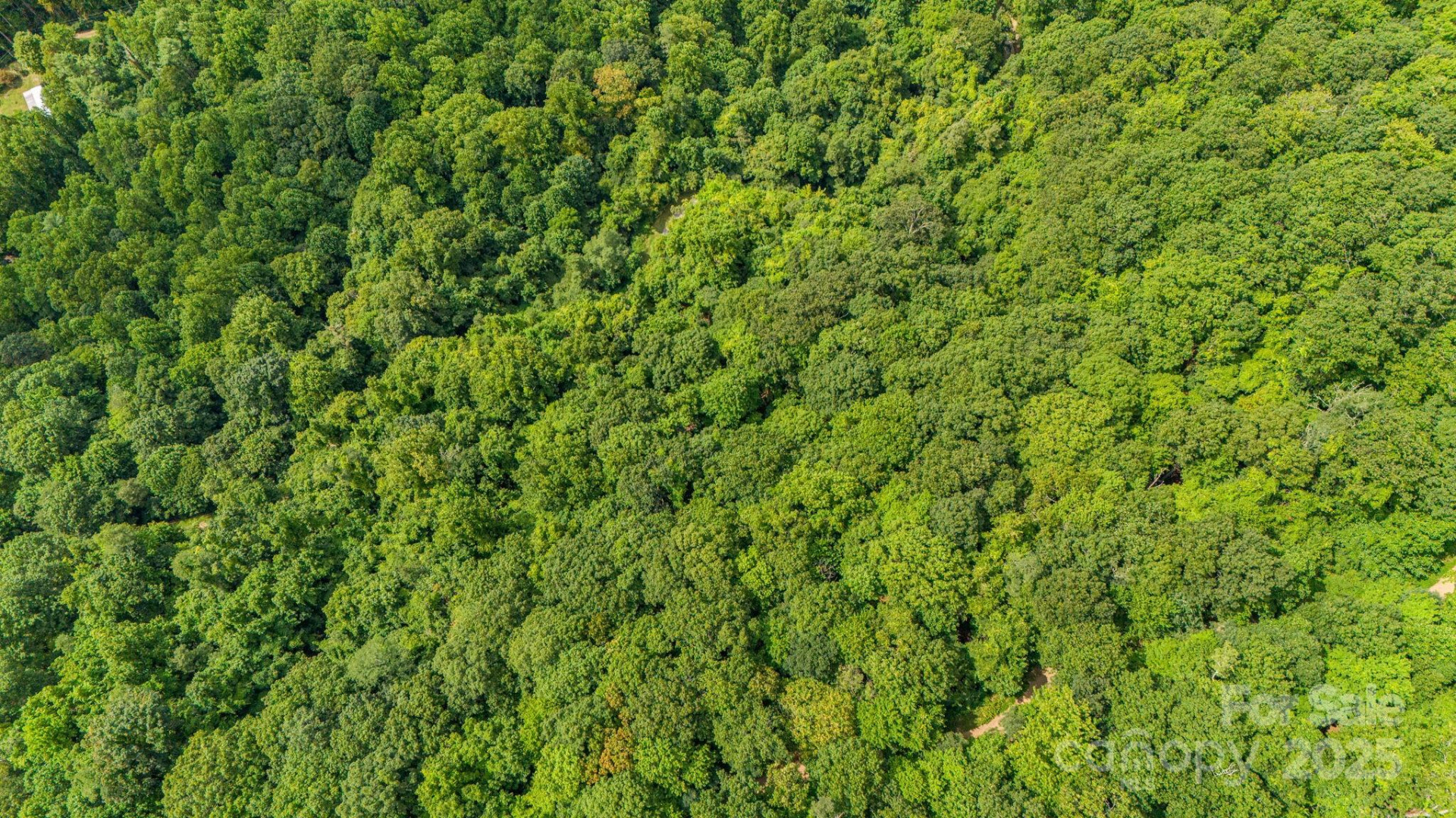 Lot 21 Cat Pen Branch Road - Photo 30