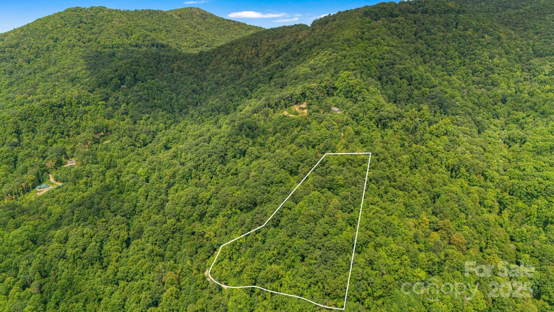 Lot 21 Cat Pen Branch Road - Photo 4