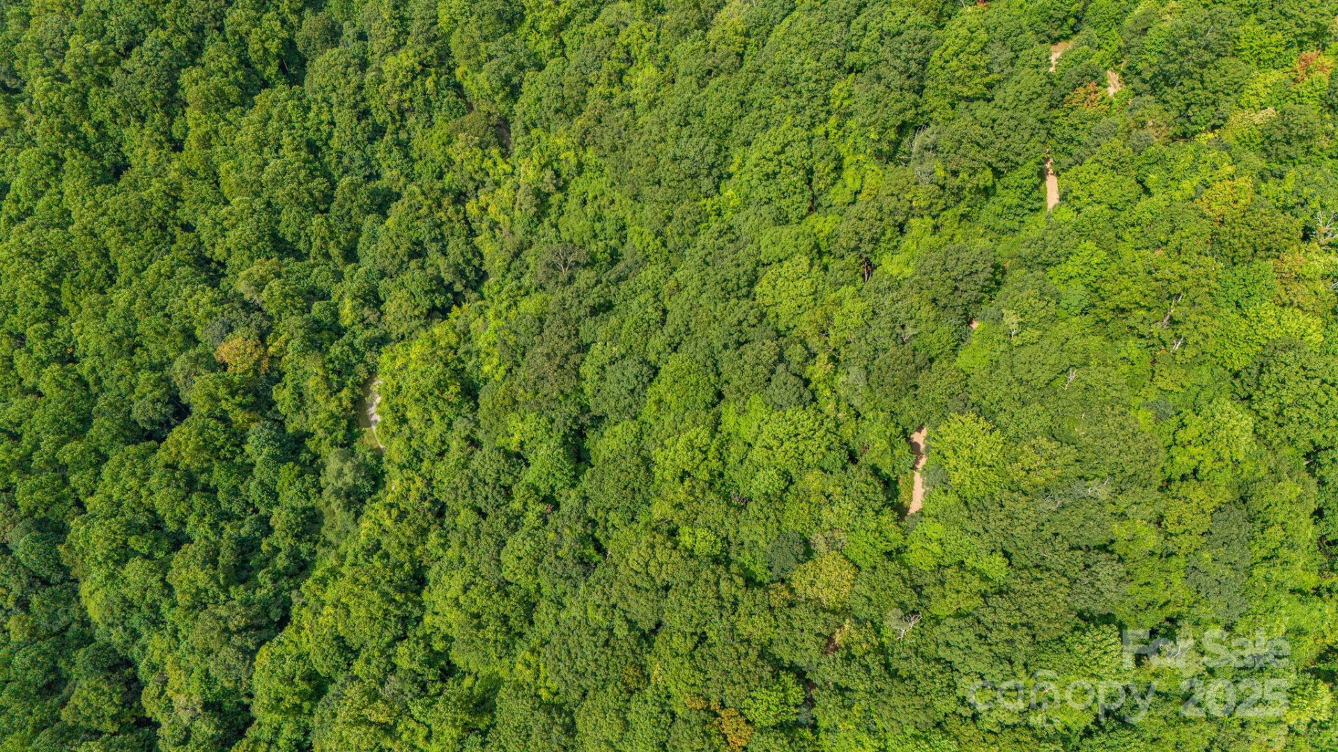 Lot 21 Cat Pen Branch Road - Photo 31