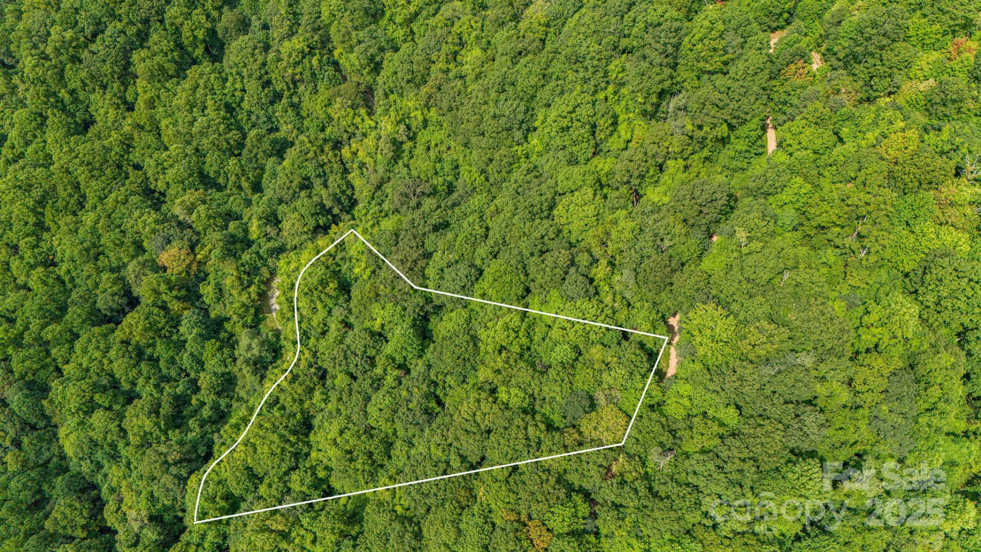 Lot 21 Cat Pen Branch Road - Photo 5