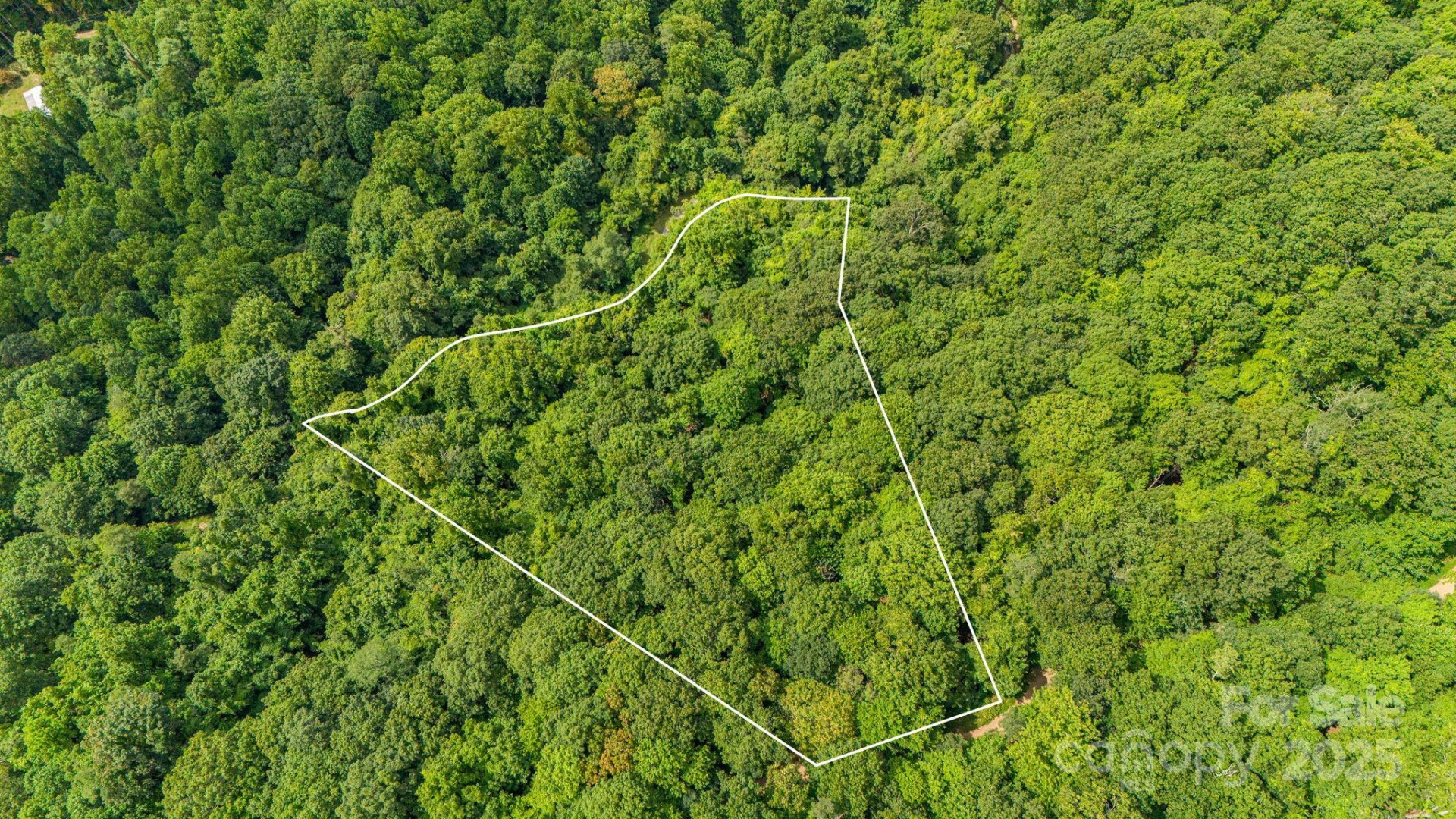 Lot 21 Cat Pen Branch Road - Photo 6