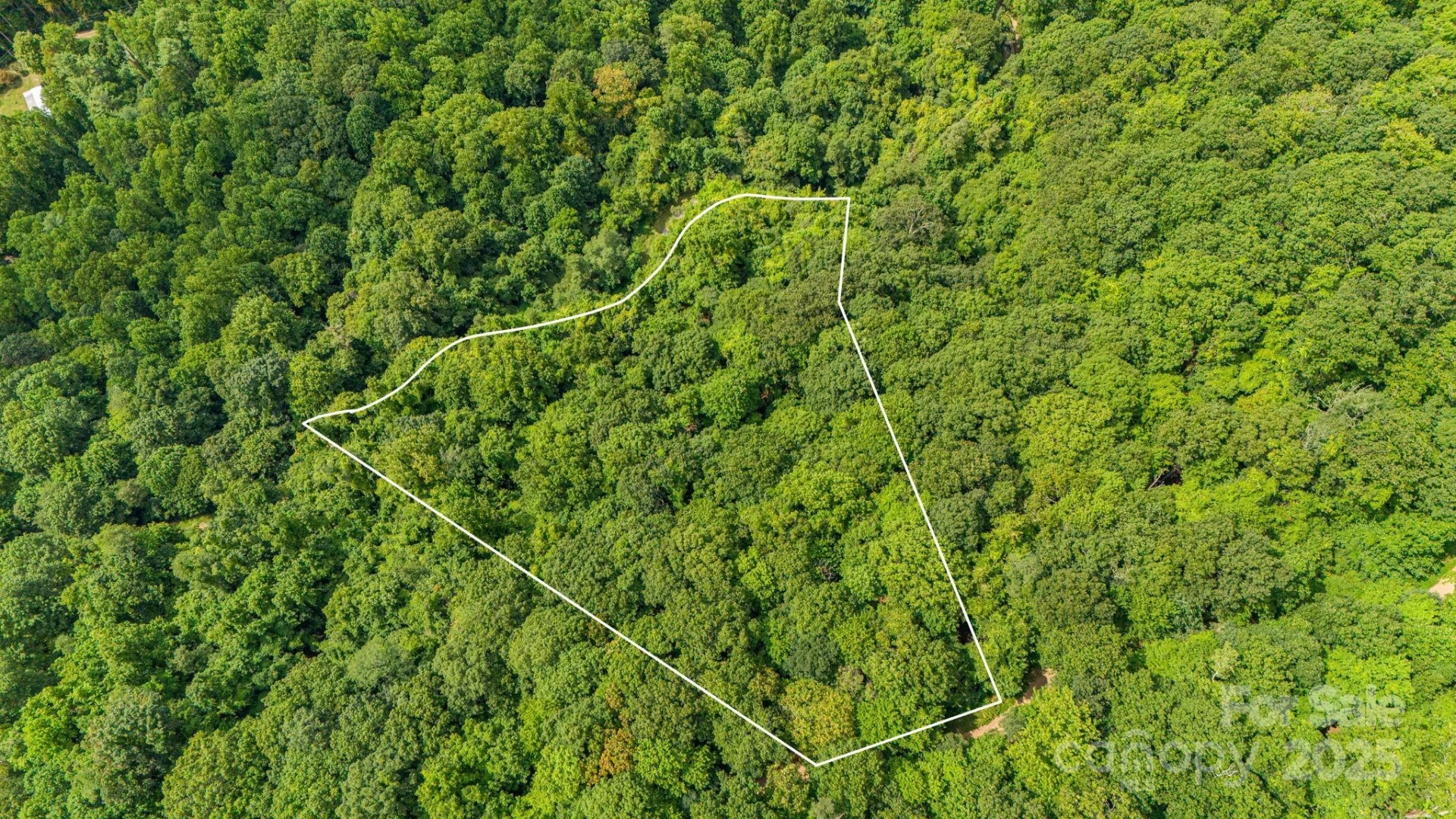 Lot 21 Cat Pen Branch Road - Photo 6