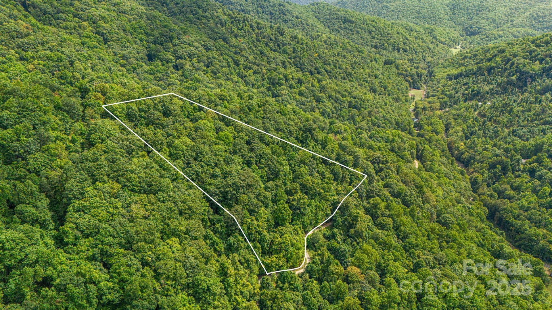 Lot 21 Cat Pen Branch Road - Photo 7