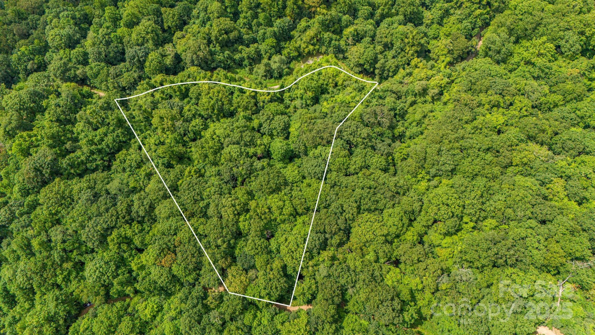 Lot 21 Cat Pen Branch Road - Photo 8