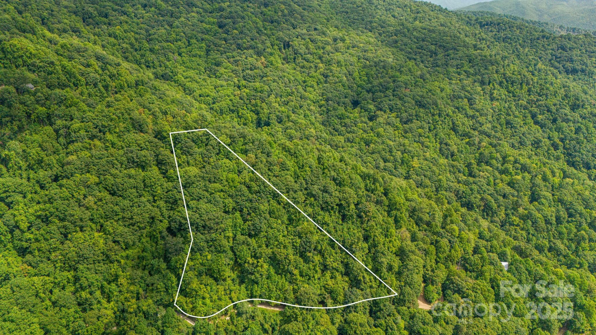 Lot 21 Cat Pen Branch Road - Photo 9