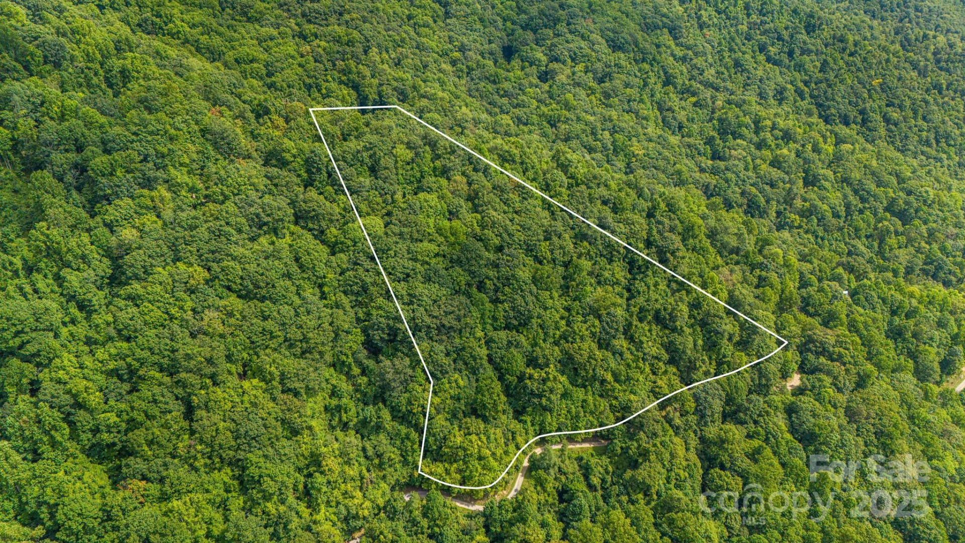 Lot 21 Cat Pen Branch Road - Photo 10