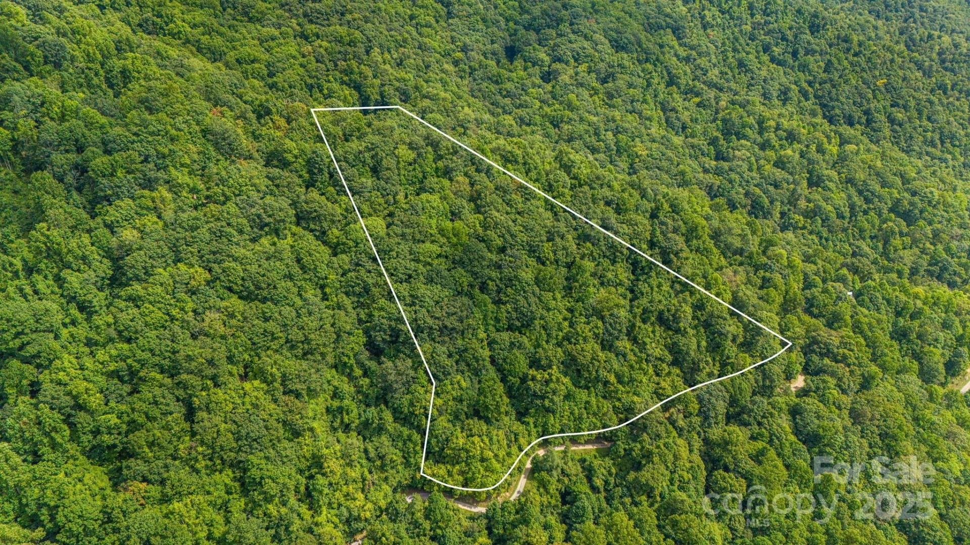 Lot 21 Cat Pen Branch Road - Photo 10