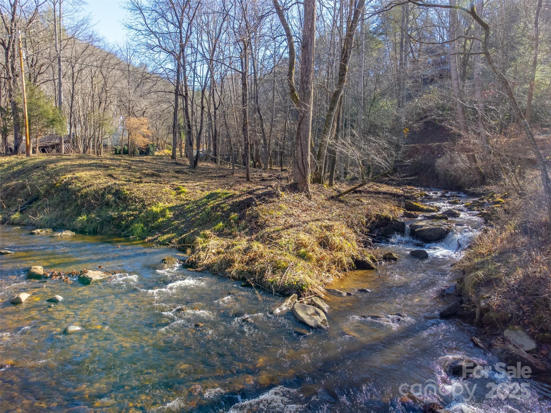 Lt 1,2,3 Caney Fork Road - Photo 2