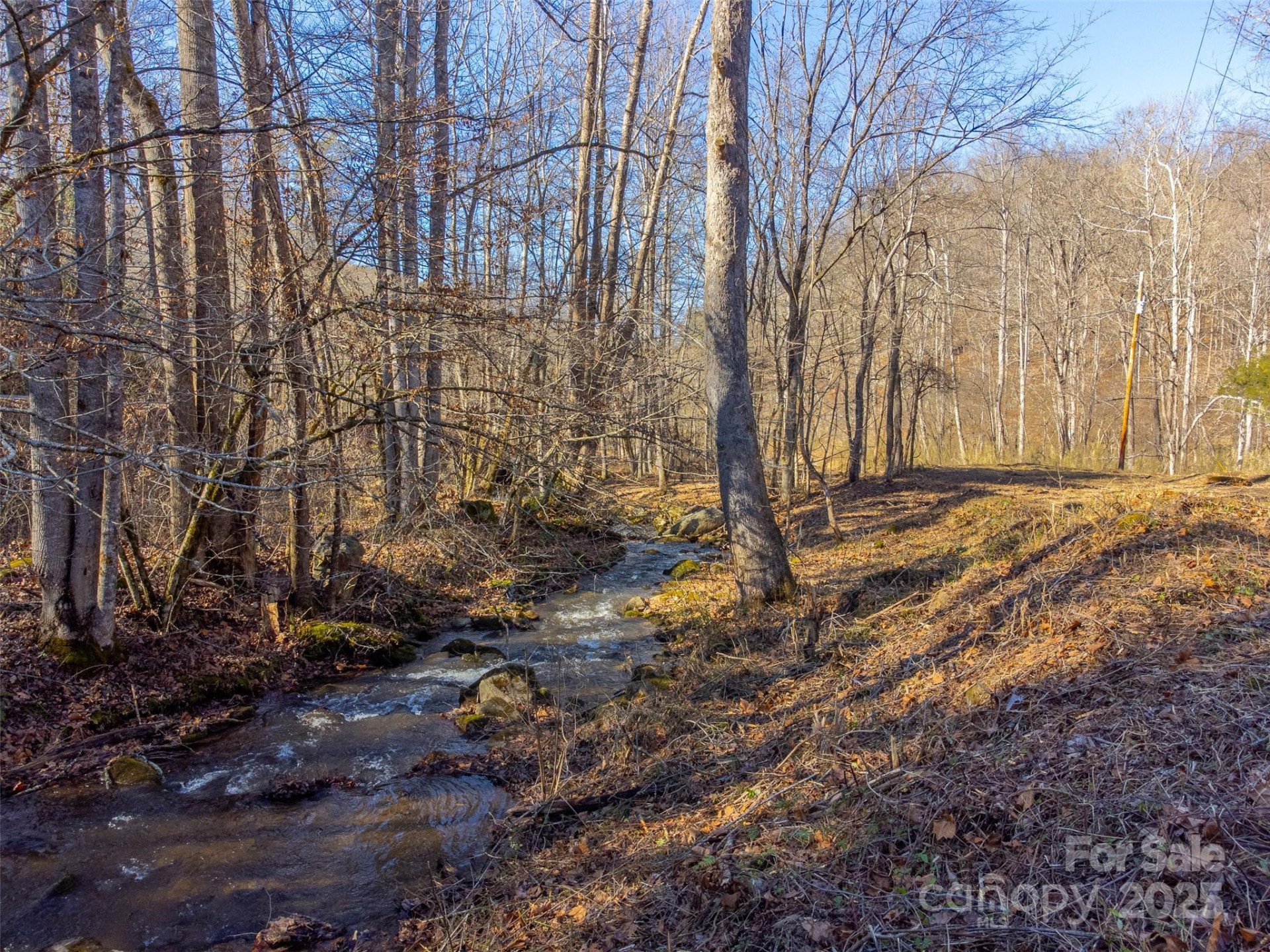 Lt 1,2,3 Caney Fork Road - Photo 11