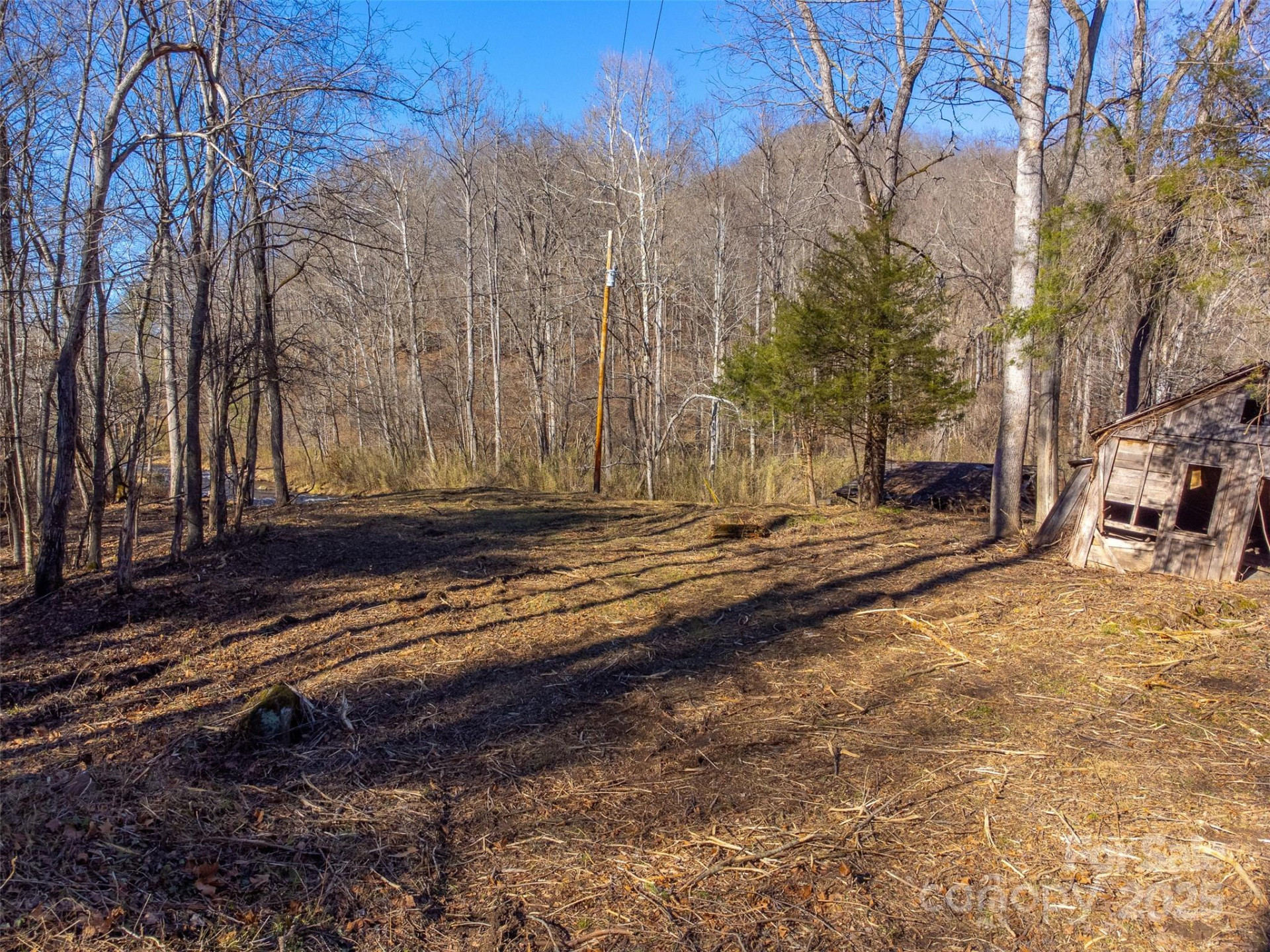 Lt 1,2,3 Caney Fork Road - Photo 12